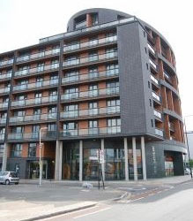 2- ,  Canary Wharf   Royal Dock (1)